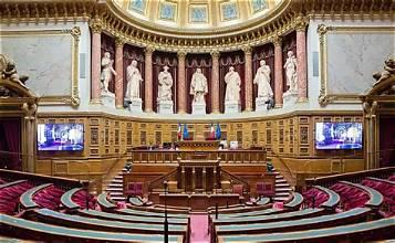 Senat3